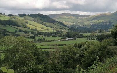 AdferDyfi yn dechrau